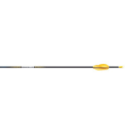 Easton Shaft X10