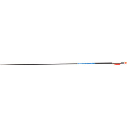 Avalon Classic 4.2 Carbon Arrow