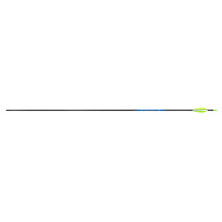 Avalon Classic 4.2 Carbon Arrow