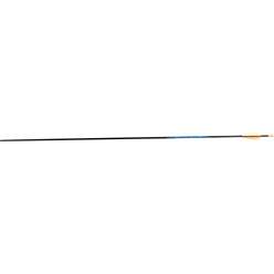 Avalon Classic 4.2 Carbon Arrow