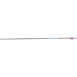 Avalon Classic 4.2 Carbon Arrow