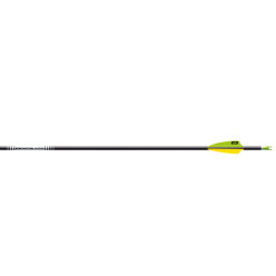 Easton A/C/E pilskaft